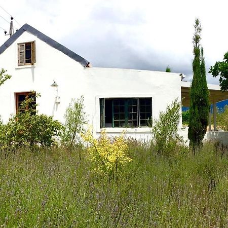 Designer Farm Cottage On Farm Franschhoek Exteriör bild