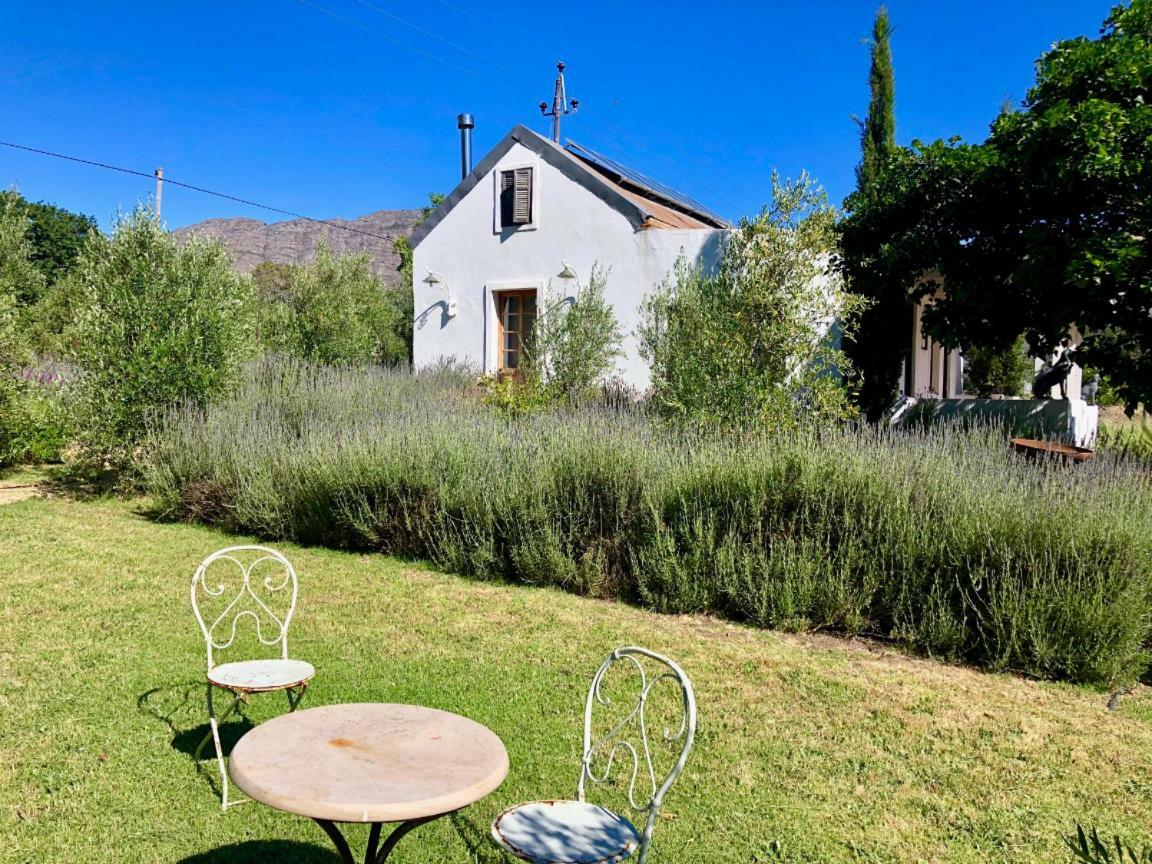 Designer Farm Cottage On Farm Franschhoek Exteriör bild