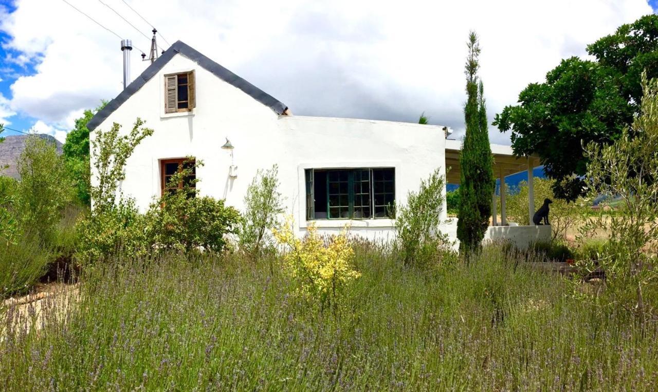 Designer Farm Cottage On Farm Franschhoek Exteriör bild